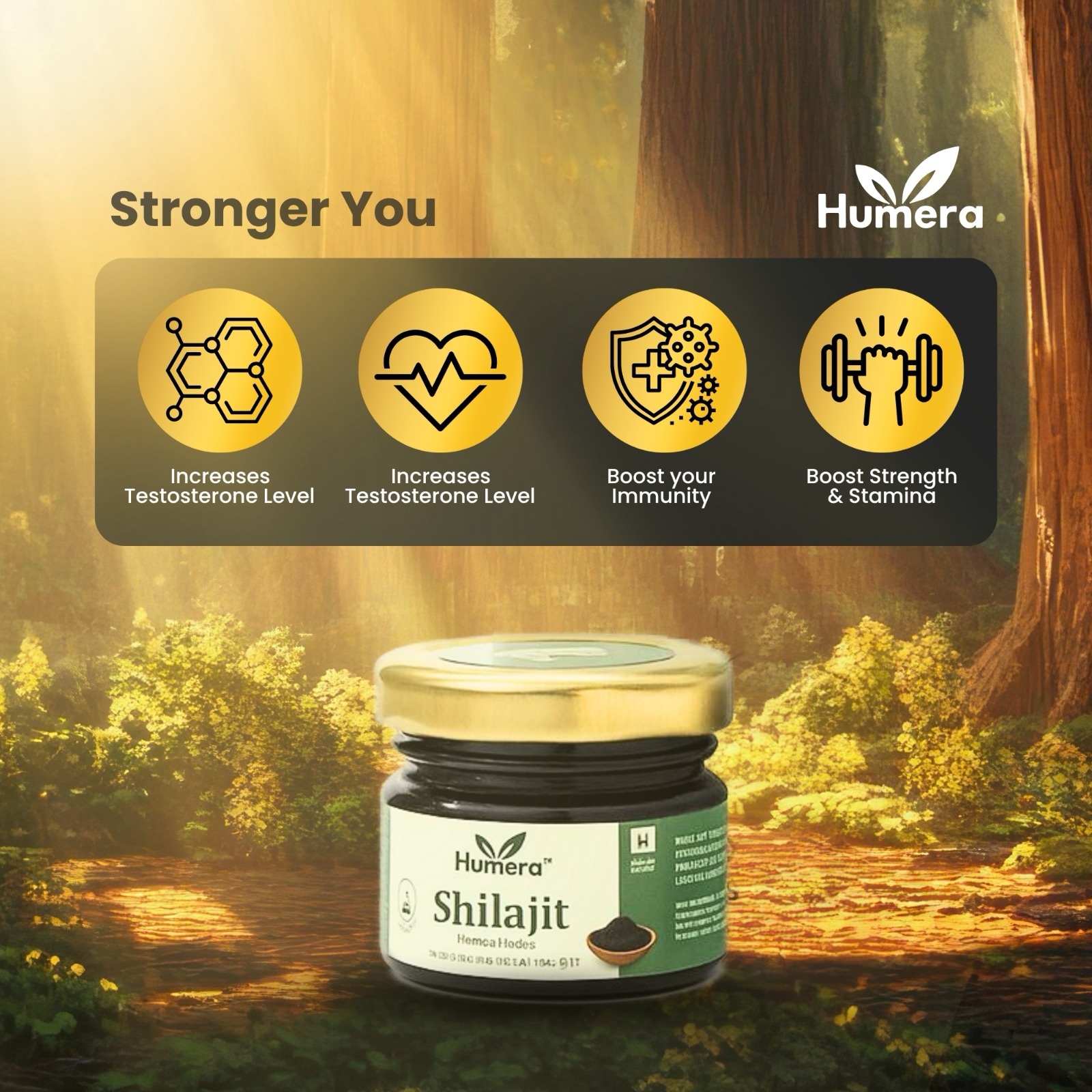 Pure Himalayan Shilajit 20 Gm - Image 6